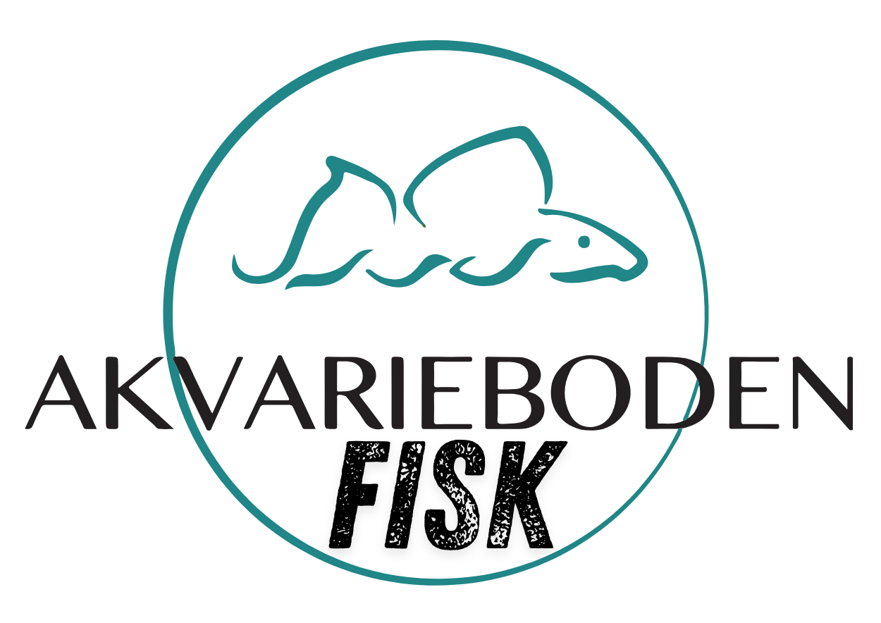 Akvarieboden Fisk